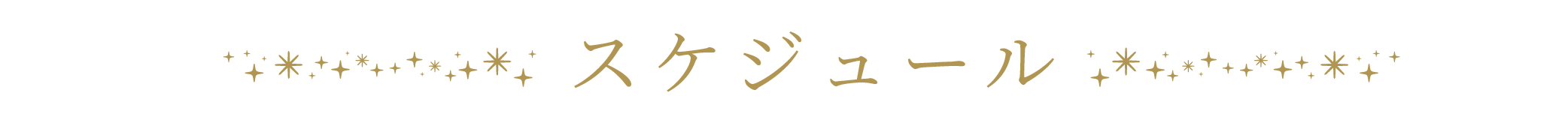 スケジュール