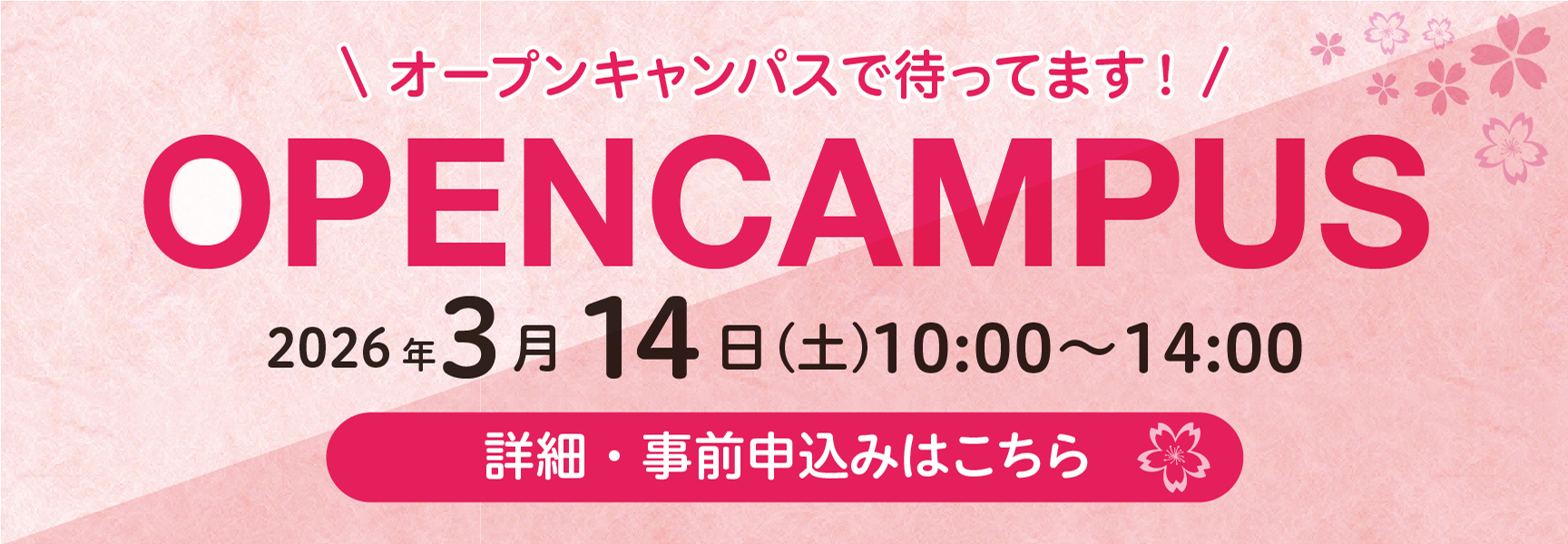 春のオープンキャンパス(文京キャンパス)3/14(日)